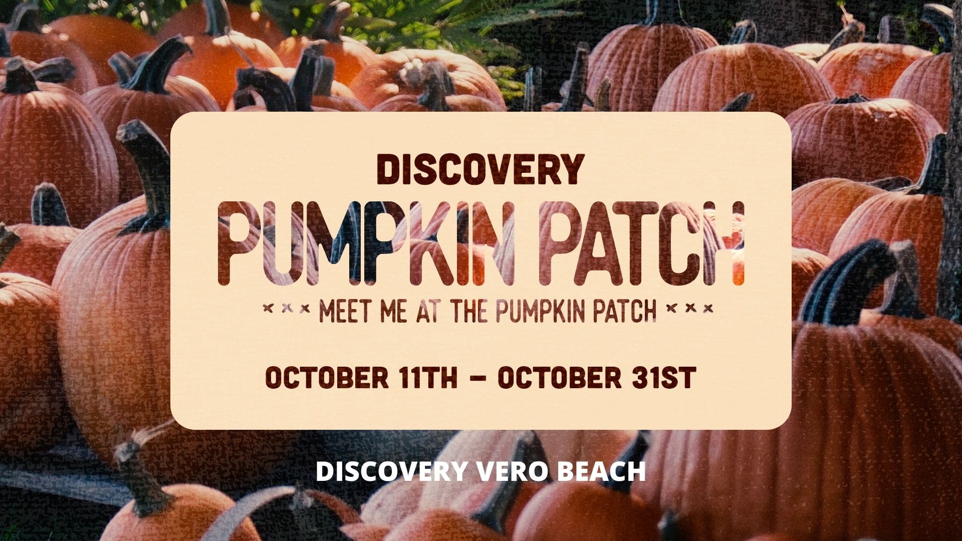Discovery Pumpkin Patch - Vero Beach